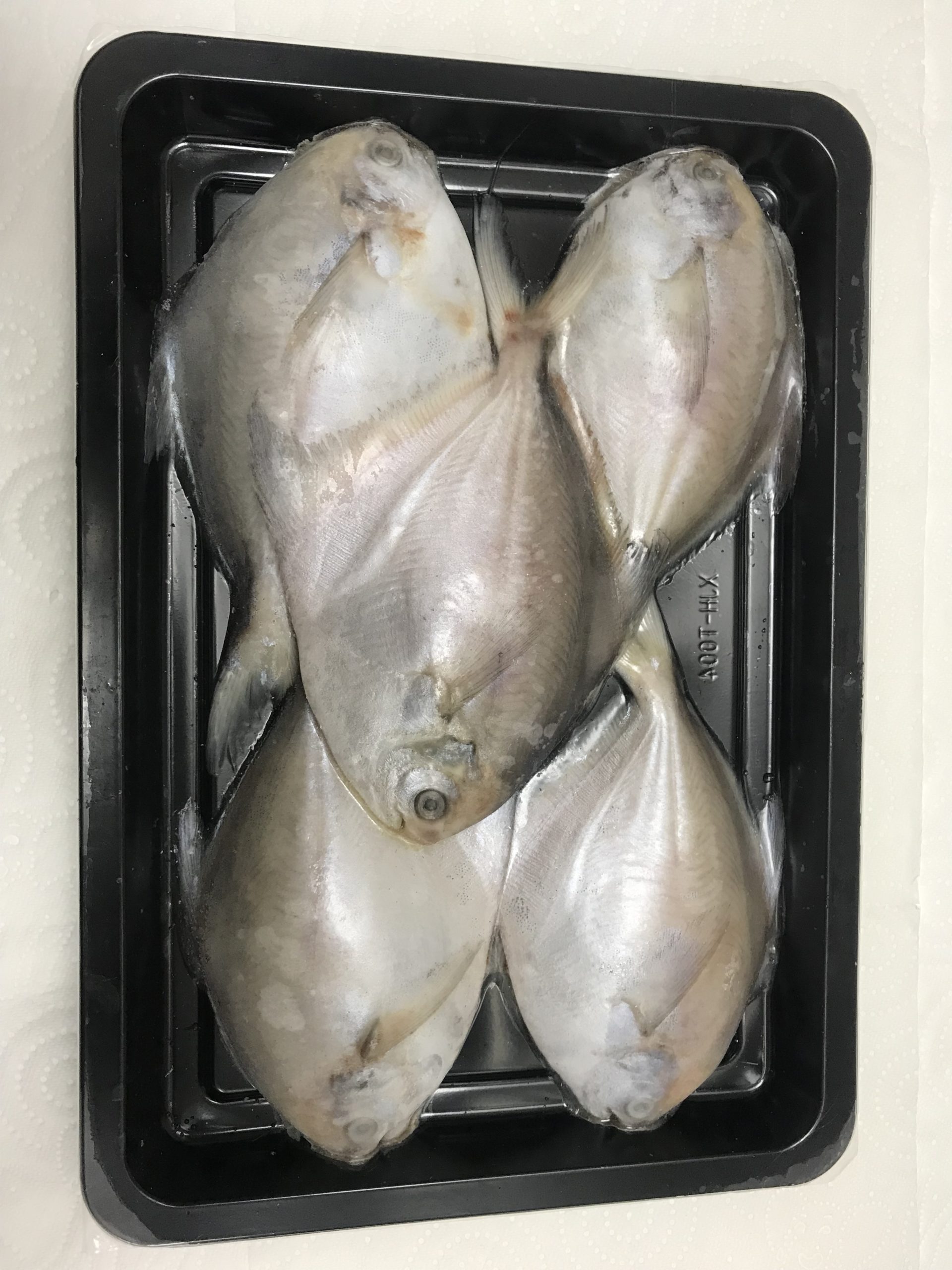 frozen pomfet/冷冻鲳鱼/600kg