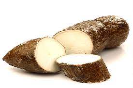 Cassava /木薯 /kg
