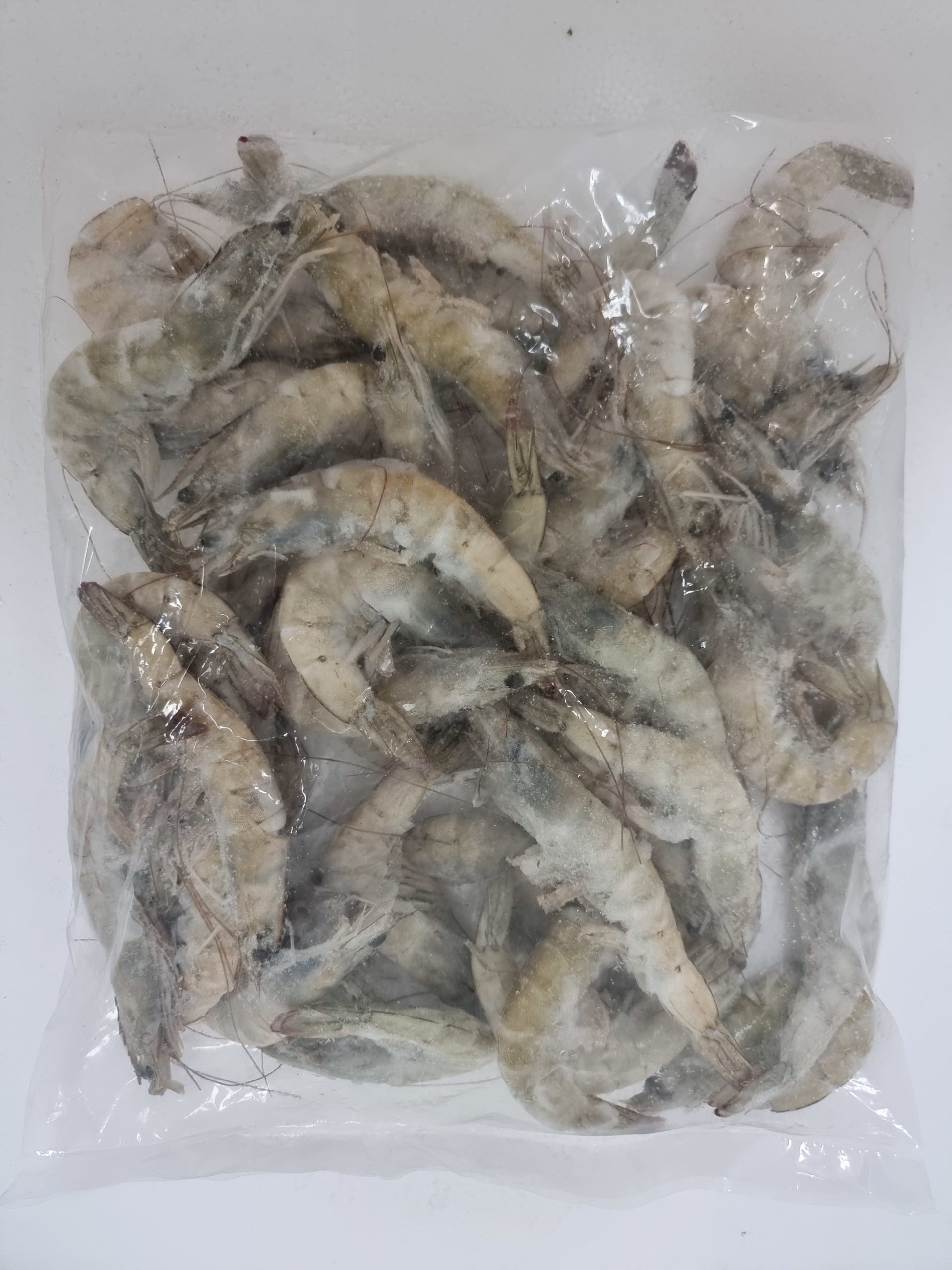 Les creevettes de saumure(petit)/盐水虾(40-50)kg