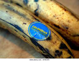 Colombian premum plantains/哥伦比亚优质大蕉/kg