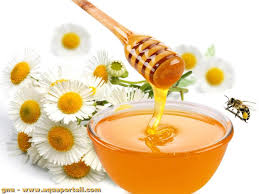 Miel de fleur/蜂蜜 /500g
