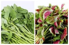 Légumes secs/笕菜/kg