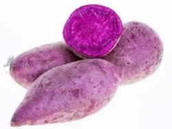 pomme de terre violette/紫薯 /kg