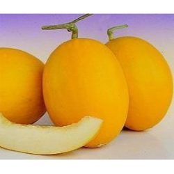 Melon jaune/黄皮甜瓜/kg