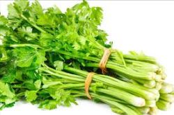 Petit celeri/细芹菜/kg