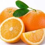 Orange/橙子/carton (11kg)
