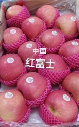 Pomme/苹果 (中国红富士)/kg