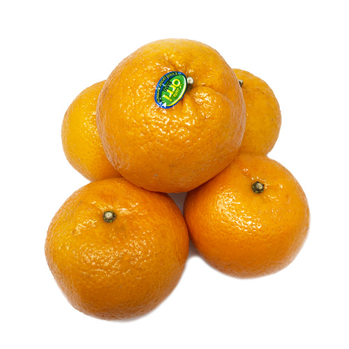 Oranges israéliennes/以色列橘子/KG